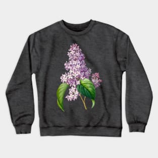 Lilac flower - Botanical Illustration Crewneck Sweatshirt